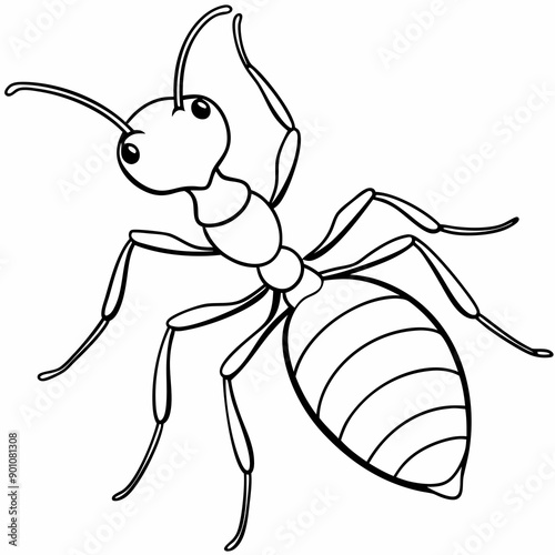  Ant line art vector illustration 