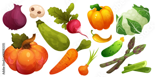 Vegetable icons. Cauliflower fruit celery and radish, carrot asparagus and green zucchini, pumpkin. Cabbage, mushroom and asparagus. Autumn harvest, cooking ingredient. Vector isolated set