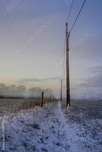 Powerlines in a misty winter landscape during early morning