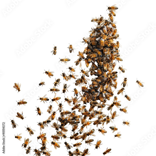 Swarm of bees isolated on white or transparent background