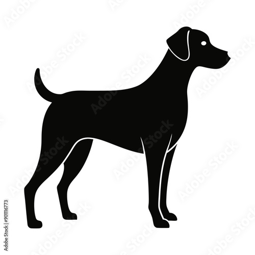 standing dog  silhouette 