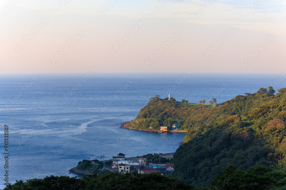 Fototapeta premium 川奈港 伊豆半島の海岸線を走る列車、伊豆急行線の車窓からの風景 日本国静岡県伊豆半島、伊豆急行線車内 - 2024年7月 