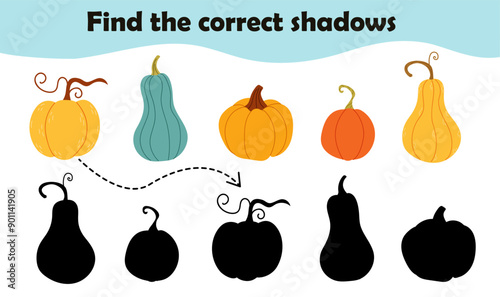 Find the correct shadow. Various pumpkins, game theme autumn. Logic game for children. Vector illustration in flat style for childrens books and magazines