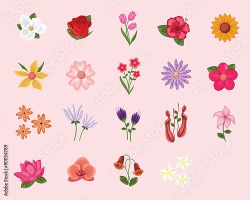 Collection of Flower 