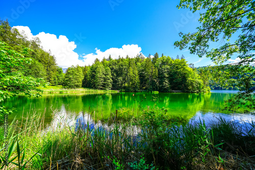 Landscape at Hechtsee near Kufstein. Clear mountain lake in Tyrol, Austria. Idyllic lake with the surrounding nature on the wooded plateau of the Thierberg.
 photo