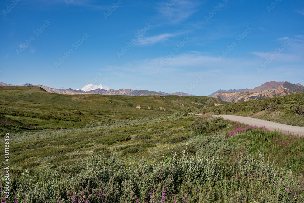Obraz premium Denali National Park and Preserve, formerly known as Mount McKinley National Park, is a national park and preserve located in Interior Alaska, United States