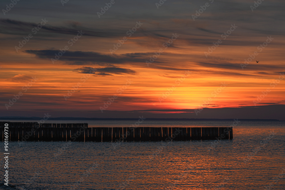 View of sand beach with wooden breakwaters on the Baltic Sea coast on sunset in Zelenogradsk. Russia