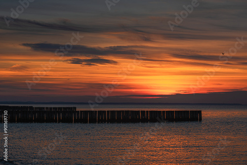 Obraz na płótnie View of sand beach with wooden breakwaters on the Baltic Sea coast on sunset in Zelenogradsk. Russia w salonie