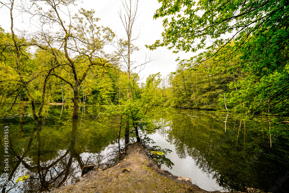 Hexenteich near Menden. Idyllic small pond with green nature in the Sauerland.
Hexenteich near Menden. Idyllic small pond with green nature in the Sauerland.
