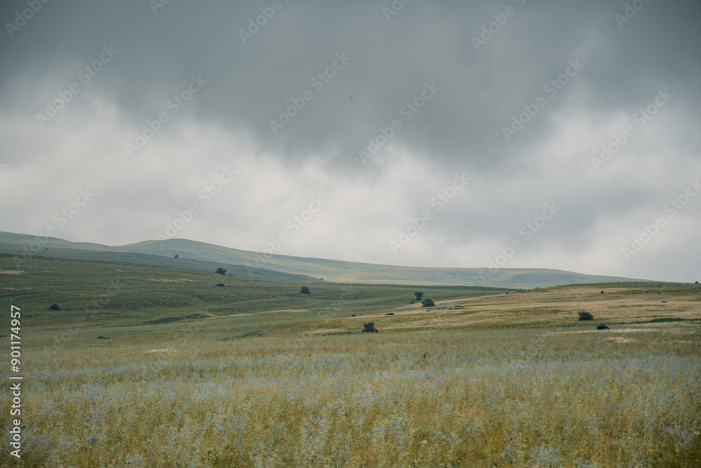 Fototapeta premium clouds over the field