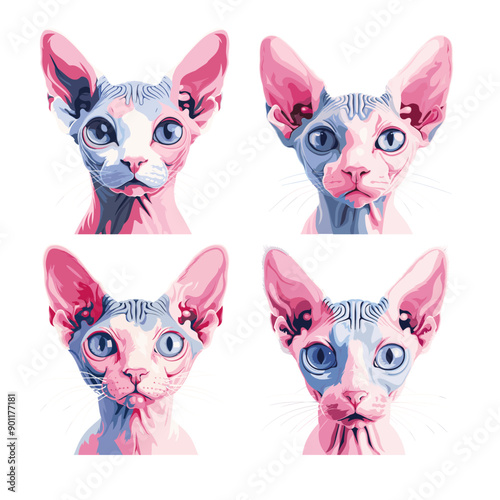 Colorful sphinx cat cartoon vector portraits. Feline hairless whiskers ears blue eyes clean skin pet animal characters, cute modern headshot illustrations isolated on white background