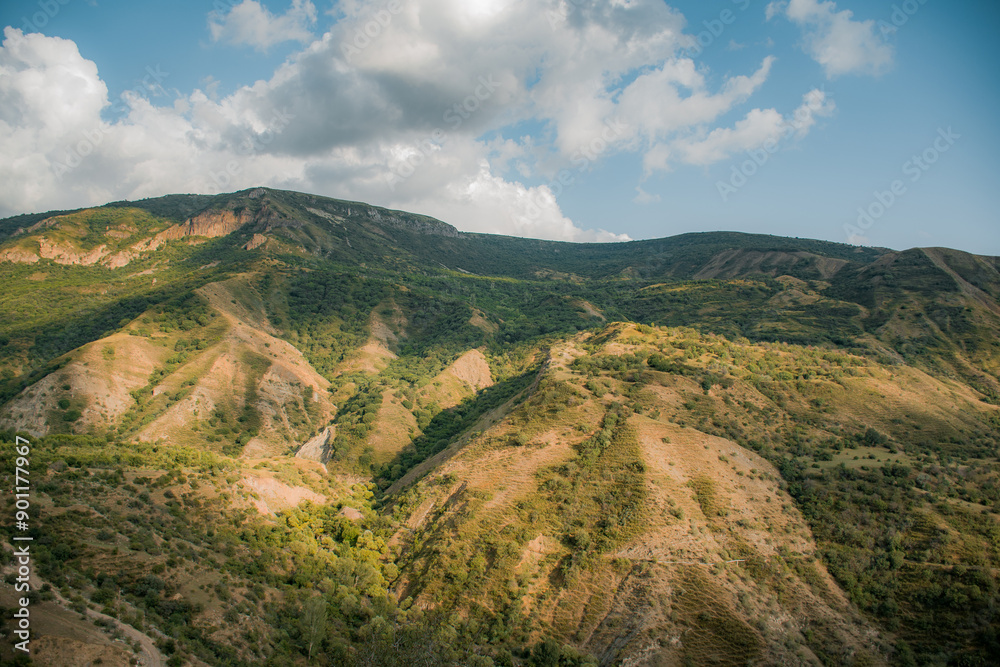 Fototapeta premium landscape in the mountains