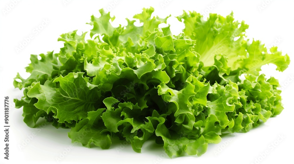 Fresh Crisp Verdant Salad Leaves Isolated On White Background Fresh Crisp Verdant Salad Leaves Isolated On White Background
