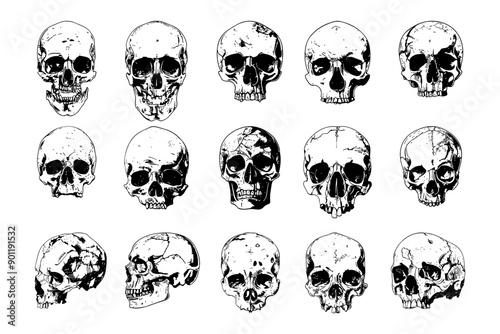 Human skulls black ink sketch set. Bones head remains ashes skeleton jaws macabre tattoo grave dead body isolated monochrome drawings icons, white background