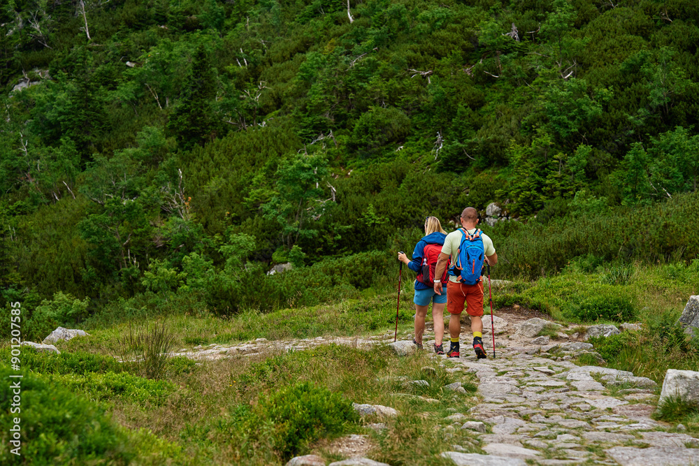 Obraz premium Back view of two hikers with backpacks and trekking poles descending rocky mountain trail. Mountain hiking concept. Active recreation in nature