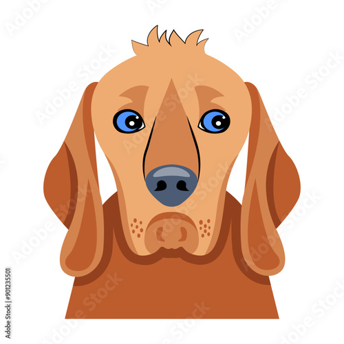 A flat icon of broholmer dog face 

