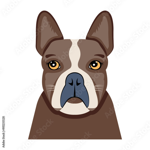 Boston terrier icon designed in flat style 

