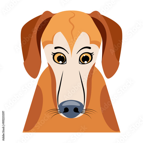 Sad dog looking down, flat vector  

