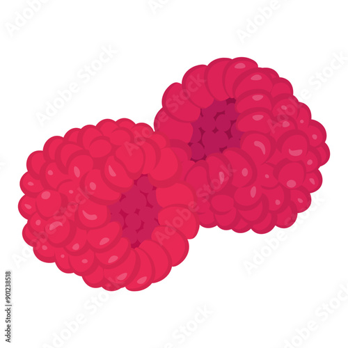 two raspberry berries, healthy juicy fruit for design