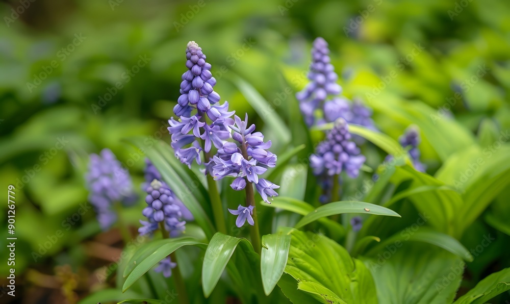 cluster of purple flowers surrounded, Generative AI cluster of purple flowers surrounded, Generative AI