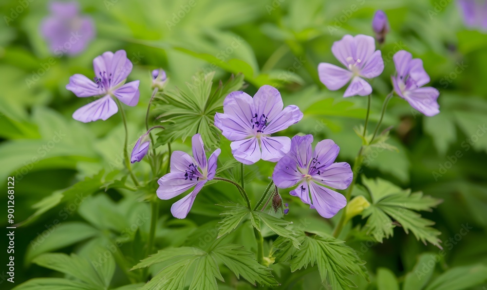 cluster of purple flowers surrounded, Generative AI cluster of purple flowers surrounded, Generative AI