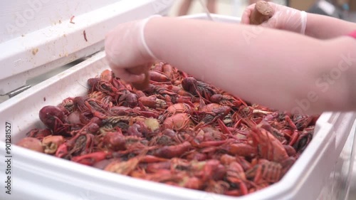 Red Shrimps in the Market. New Orleans, USA