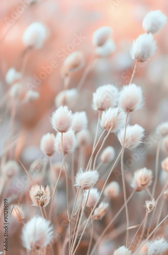 Pink Wildflowers In A Field
