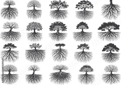 Trees roots silhouette icon vector set. Taproot and fibrous root systems of various plants, realistic black roots illustrations