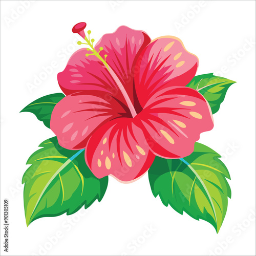  A jaba flower with four leaves