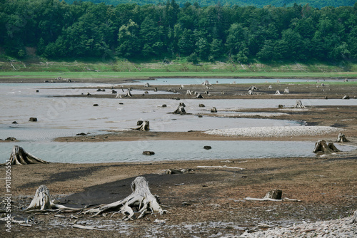 糠平湖の湖に沈んだ切り株 photo