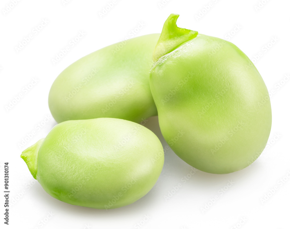 Three green young broad beans isolated on white background. Three green young broad beans isolated on white background.