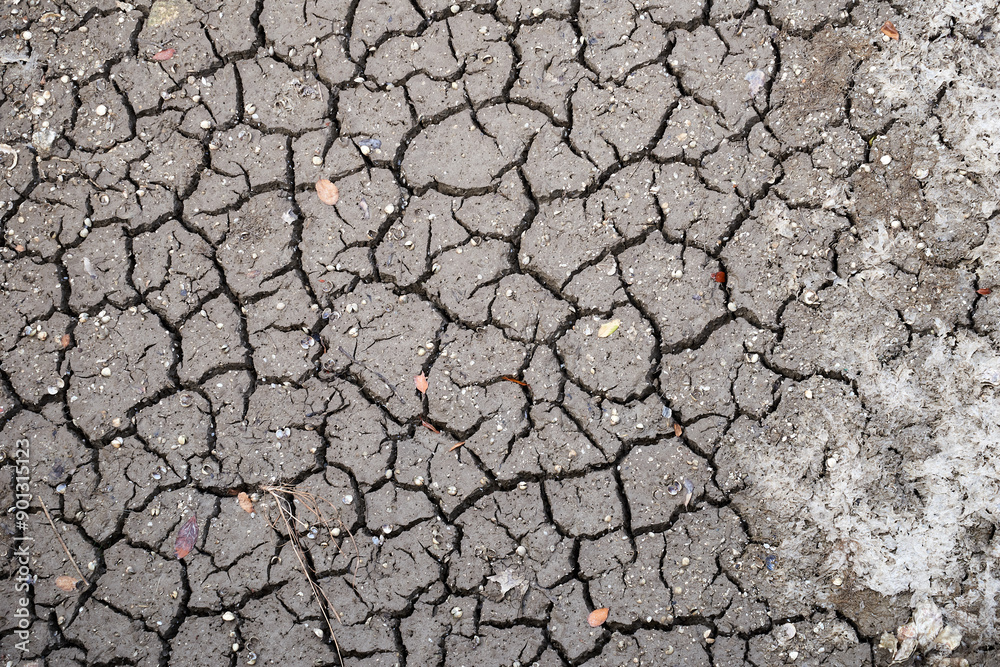Mud soil cracked by drought view from above Mud soil cracked by drought view from above