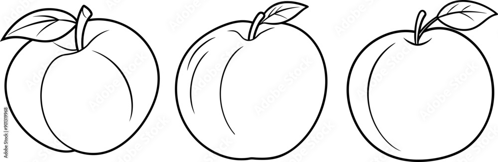 Nectarine fruit outline coloring book page and digital line art Nectarine fruit outline coloring book page and digital line art
