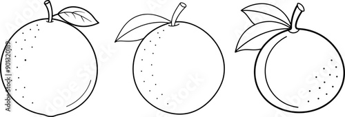 Lime fruit outline coloring book page and digital line art