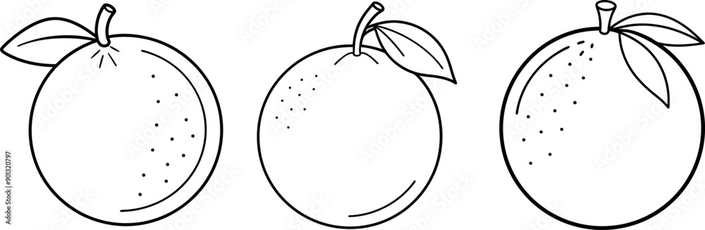 Lime fruit outline coloring book page and digital line art Lime fruit outline coloring book page and digital line art