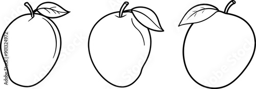 Mango fruit outline coloring book page and digital line art