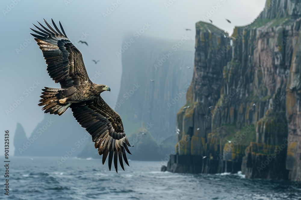 Fototapeta premium Eagle flying over towering cliffs