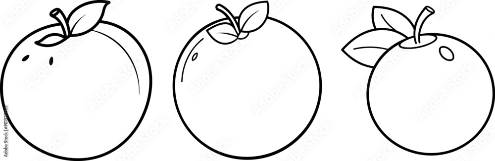 Blueberry fruit outline coloring book page and digital line art Blueberry fruit outline coloring book page and digital line art