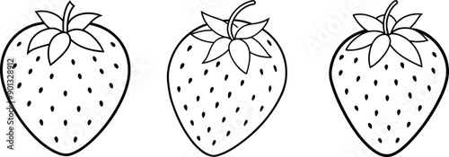 Strawberry fruit outline coloring book page and digital line art