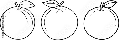 Orange fruit outline coloring book page and digital line art