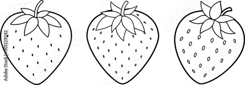 Strawberry fruit outline coloring book page and digital line art