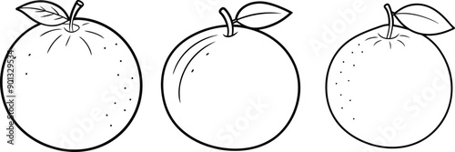 Orange fruit outline coloring book page and digital line art