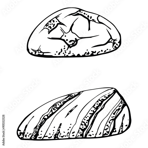 Stones pebbles, Marine life, sea ocean underwater spa zen decoration Ink and pen sketch hand drawn. Single object illustration, stylized, isolated on white. Zoo shop, aquarium, cosmetics, resort