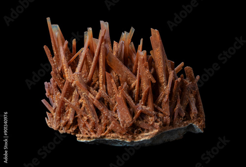 Stunning aragonite crystals with intricate, natural geometric formations.