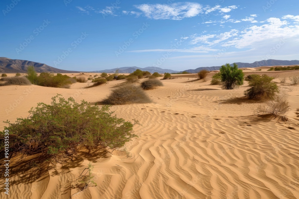 An arid disaster wave impacting landscapes, showcasing the effects of extreme dryness and climate catastrophe. An arid disaster wave impacting landscapes, showcasing the effects of extreme dryness and climate catastrophe.