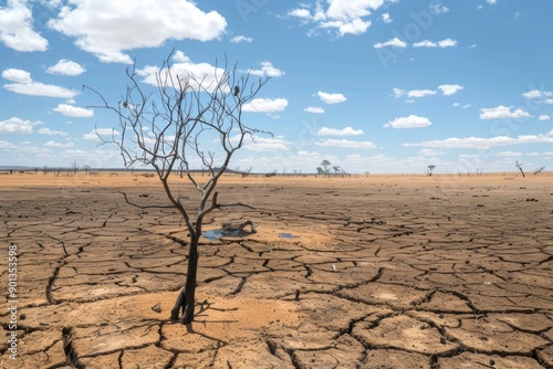 A depiction of scorched land under urgent hot conditions, highlighting the severe water deficit and the broader climate crisis. 