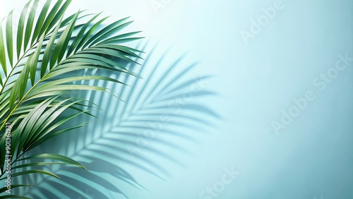 This captivating background features a mesmerizing array of blurred palm leaf shadows dancing across a light blue wall. The subtle design adds a touch of tropical flair to your product presentations.