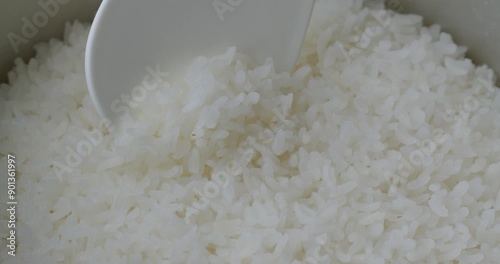 Spoon stir cooked white Japanese rice in a rice cooker bowl close up. photo