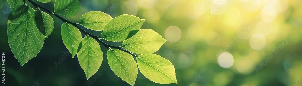 Ultraclear capture of a forest bathing session, sunlight through leaves, tranquil expression, Ultraclear capture of a forest bathing session, sunlight through leaves, tranquil expression,