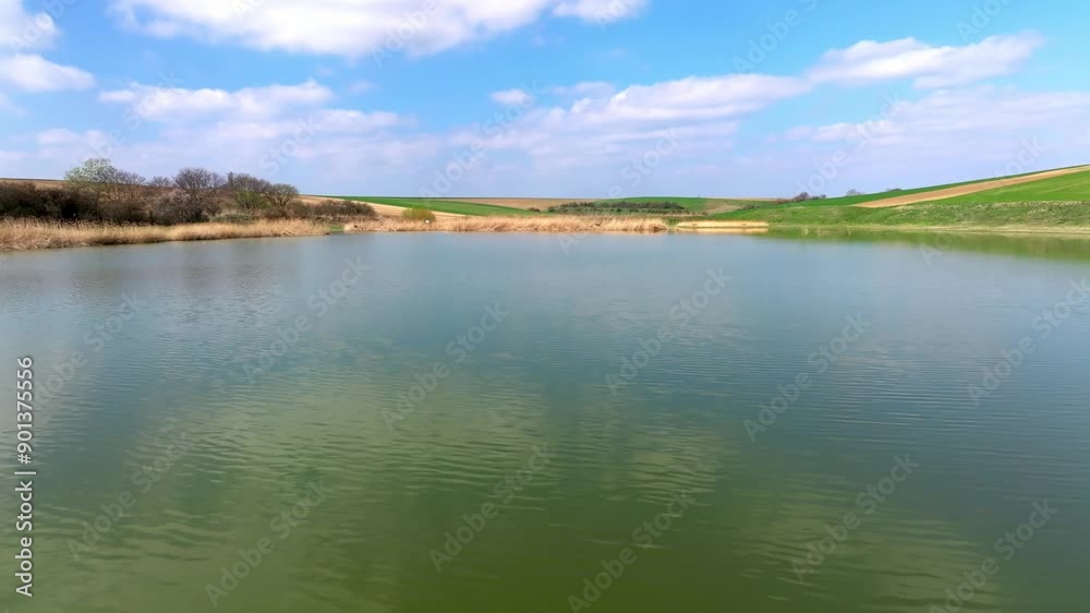 Pond With Reeds In The Countryside - Aerial Drone Shot Pond With Reeds In The Countryside - Aerial Drone Shot